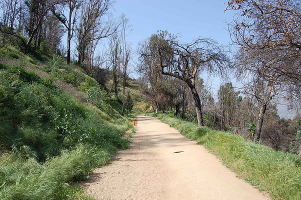 DSC 0516