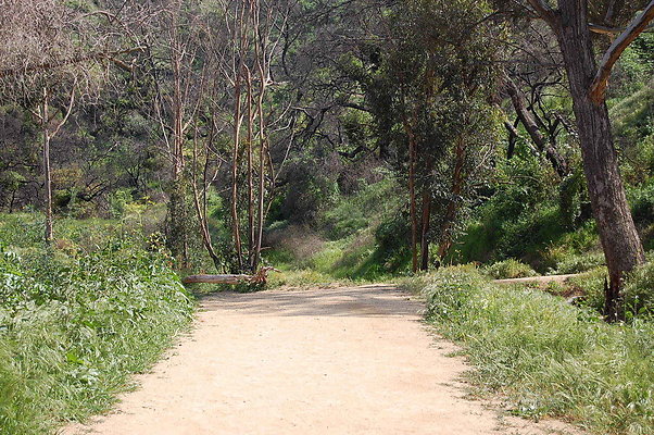 DSC 0515
