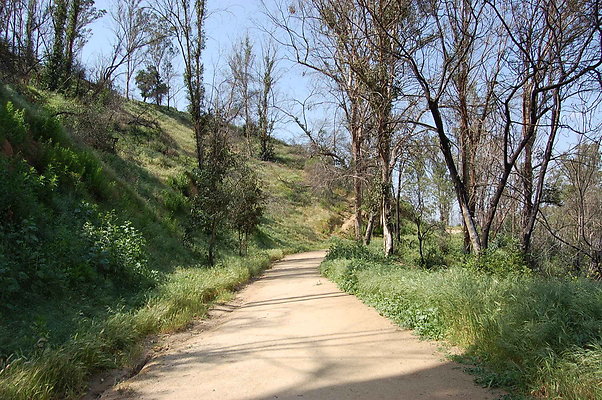 DSC 0520