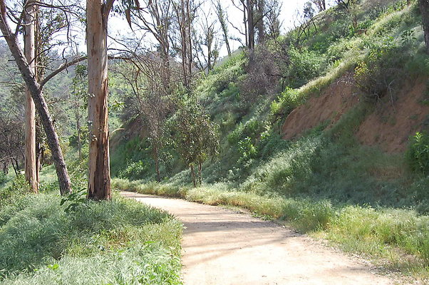DSC 0536