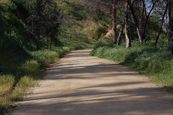 DSC 0538
