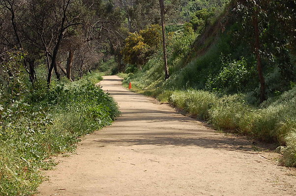 DSC 0525