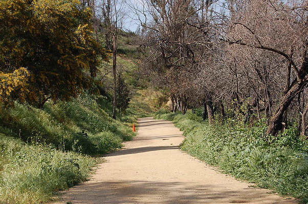 DSC 0513