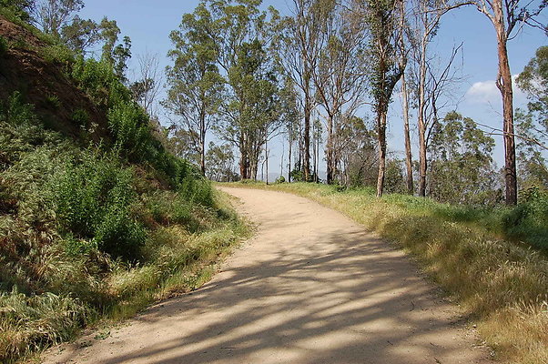 DSC 0526