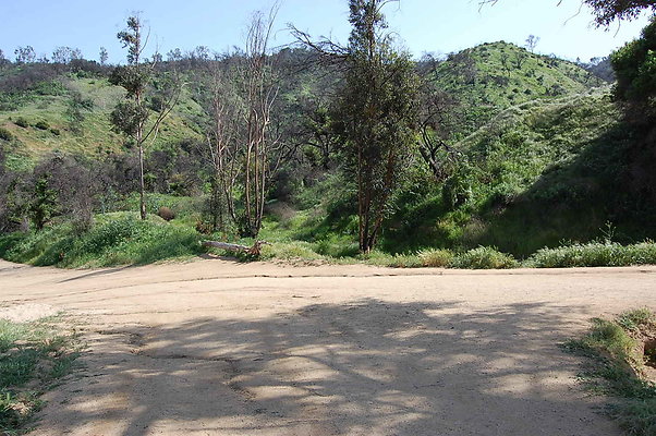 DSC 0539