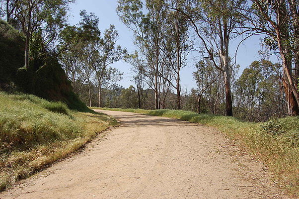 DSC 0529