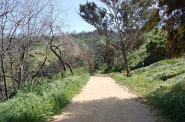 DSC 0517