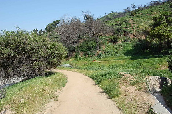 DSC 0504