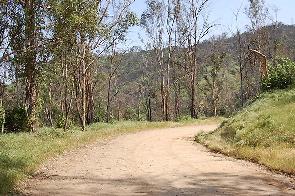 DSC 0533