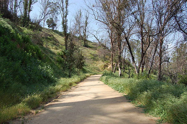 DSC 0518