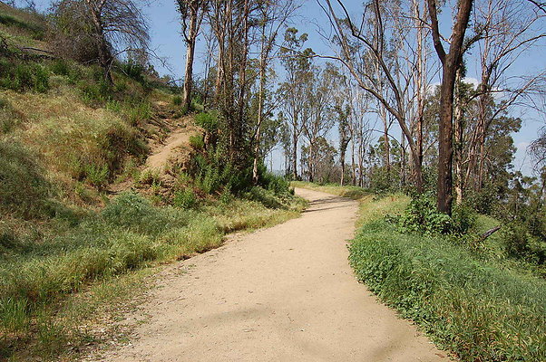 DSC 0524