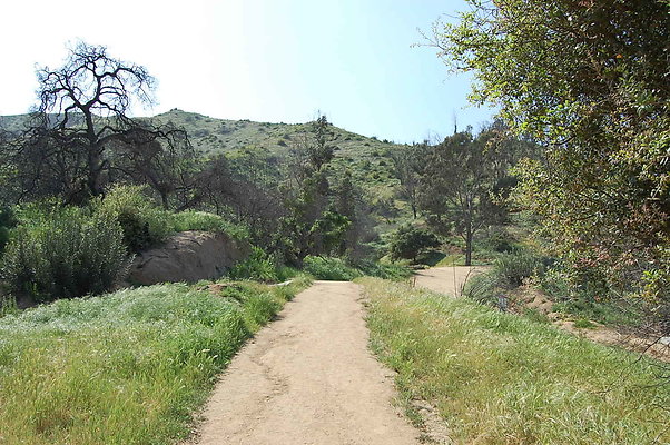 DSC 0502