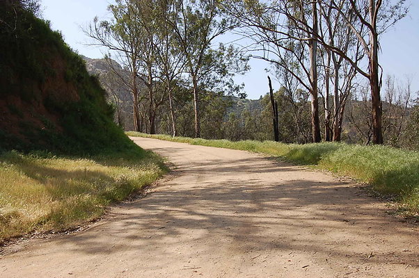 DSC 0531