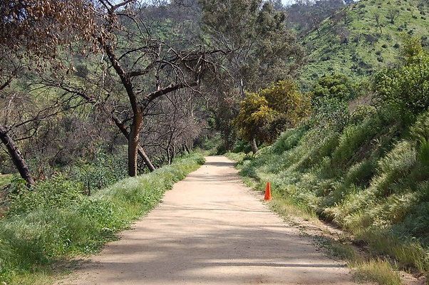 DSC 0521