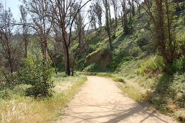DSC 0527