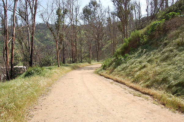 DSC 0528