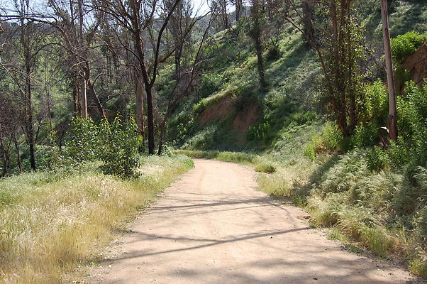 DSC 0535
