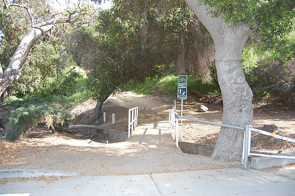 DSC 0615