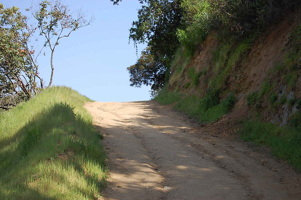 DSC 0622