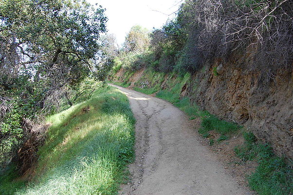 DSC 0620