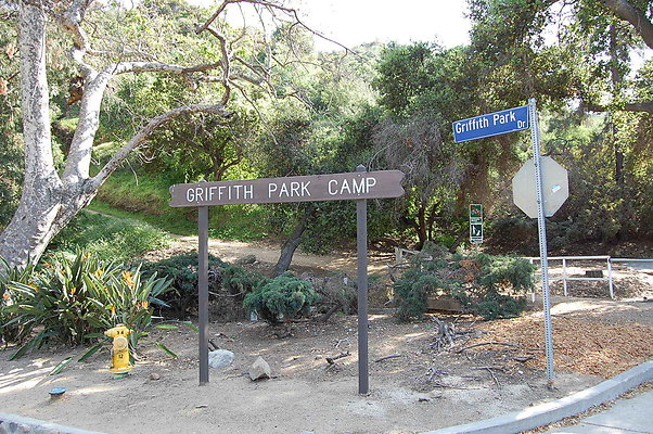 DSC 0611