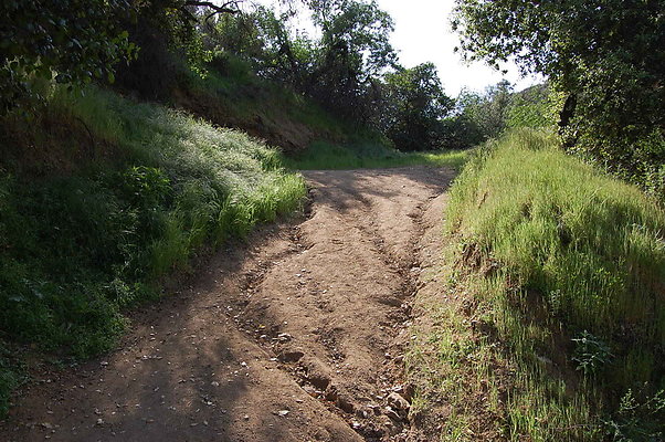 DSC 0617