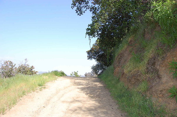DSC 0624