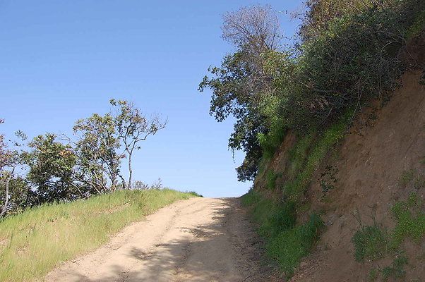 DSC 0628