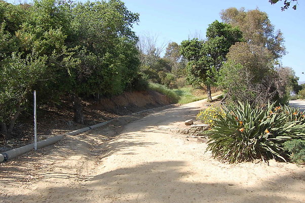 DSC 0630