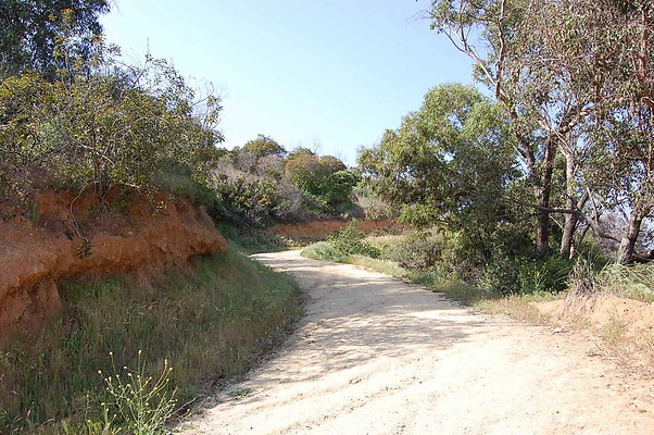 DSC 0637