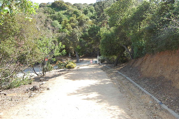 DSC 0632