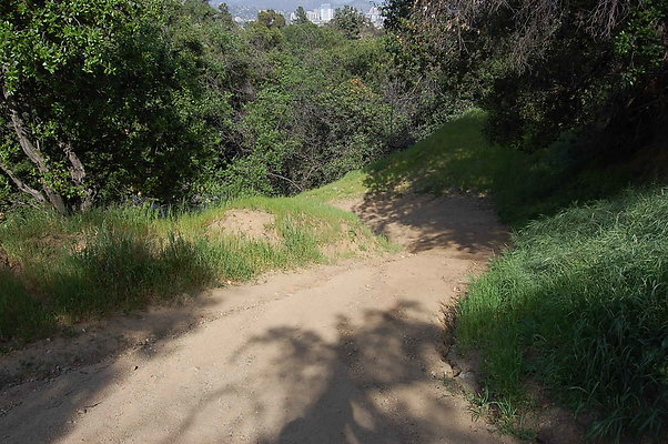 DSC 0619
