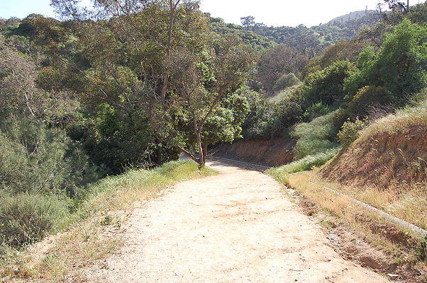 DSC 0634