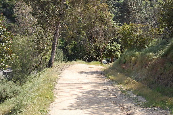 DSC 0636