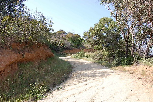 DSC 0635