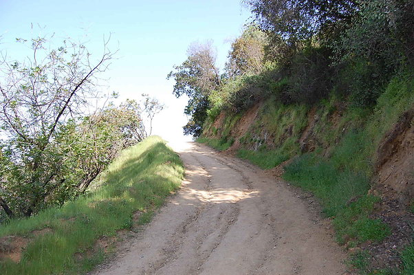DSC 0621