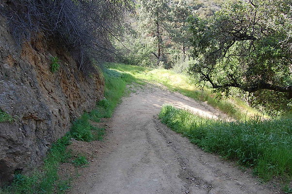 DSC 0623