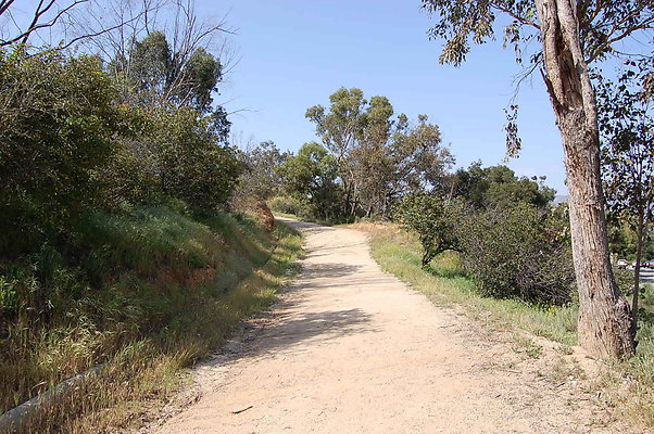 DSC 0633