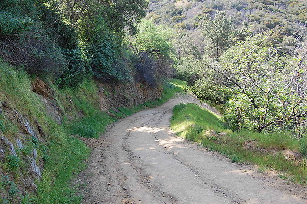 DSC 0627