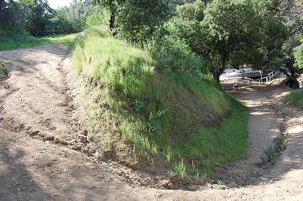 DSC 0629