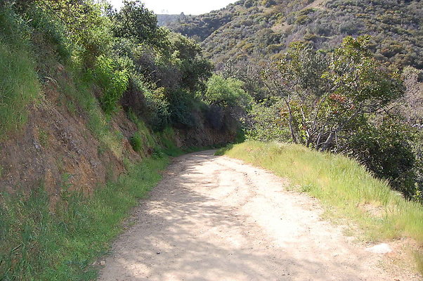 DSC 0626