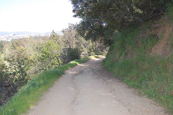 DSC 0625