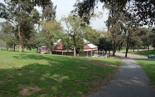 DSC 0243