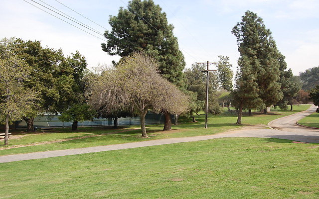 DSC 0230