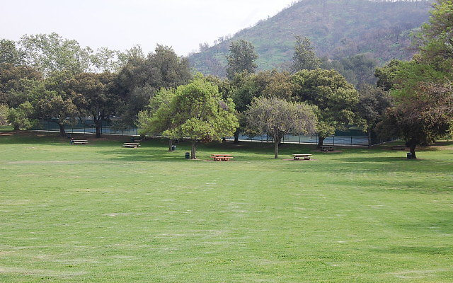 DSC 0288