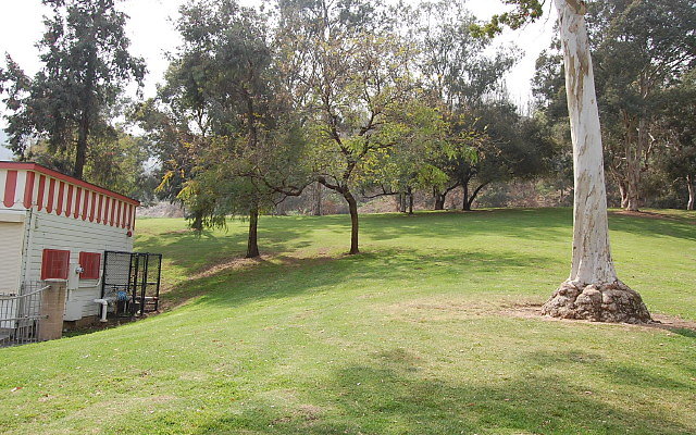 DSC 0226
