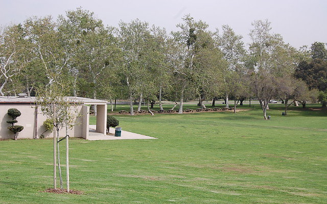 DSC 0287