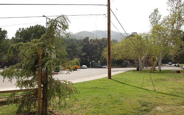 DSC 0245