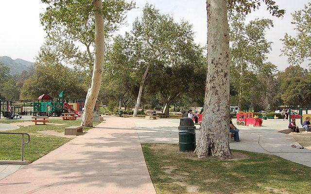 DSC 0248