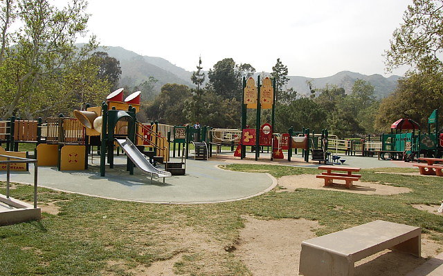 DSC 0252